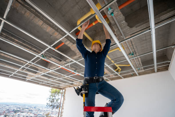Best Local Plumber Services  in Lakewood Park, TN
